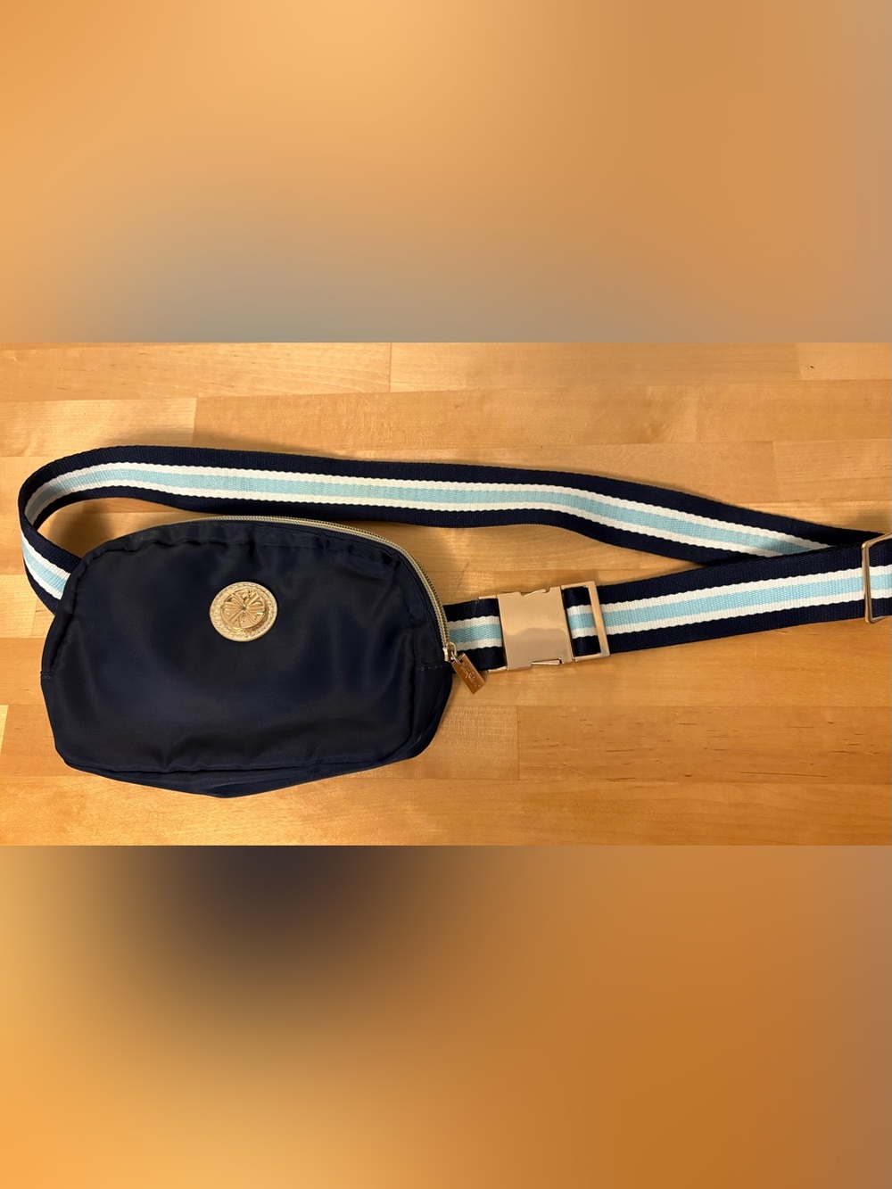 Navy Crossbody Belt Bag with Stripe Webbing